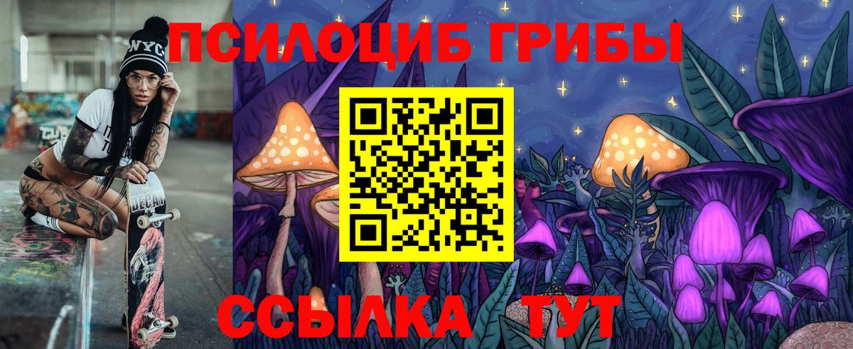 Галлюциногенные грибы MAGIC MUSHROOMS  Псилоцибиновые грибы Psilocybe  Вход с VPN  Сунжа 