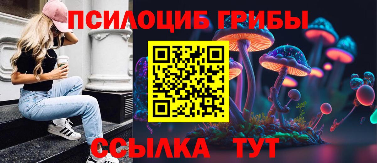 Галлюциногенные грибы MAGIC MUSHROOMS Сунжа